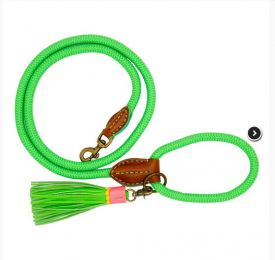 Dog With A Mission Classic Apple Pie Dog Leash