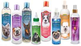 Biogroom Shampoo