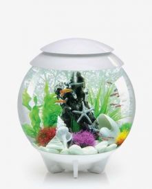Biorb Halo 30 Led Light Ring With Automatic Moonlight White 30ltr