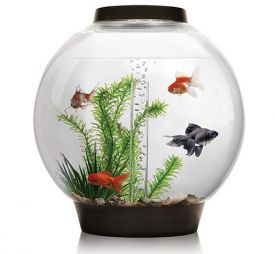 Biorb Classic Aquariums