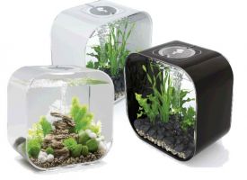 Rectangle Aquariums