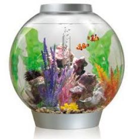 Biorb Marine Aquariums