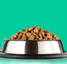 Quick find Pet food brands