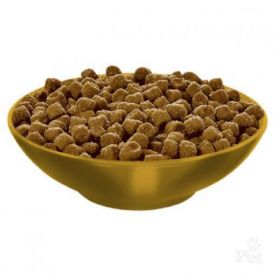 Cat Food