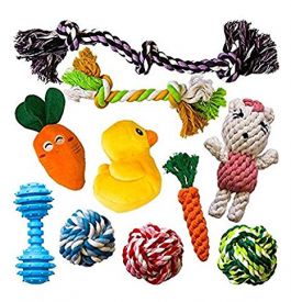 Dog Toys