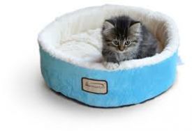 Cat Beds