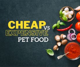 Cheap Vs Expensive Pet Food