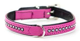 Nobby Crystal Collar With Swarovski Crystals Fuchsia