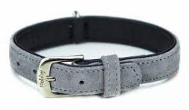 Nobby Velours Suede Leather Collar Gray