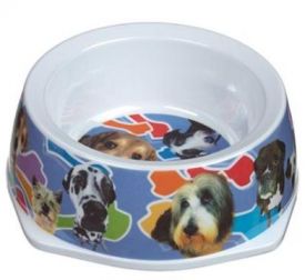 image of Camon Melamine Dog Bowl 300ml