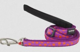 Red Dingo Adjustable Lead Orange Spots Purple