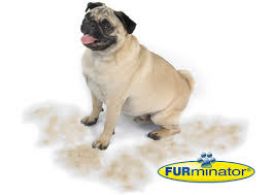 Furminator For Dogs