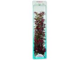 Tetra Red Ludwigia Plus 46 Cm