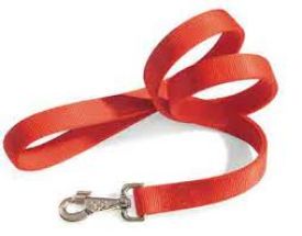 image of Camon Collar Nylon Mm.15x350