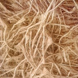 Jute Fiber