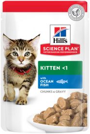 image of Hills Kitten With Ocean Fish