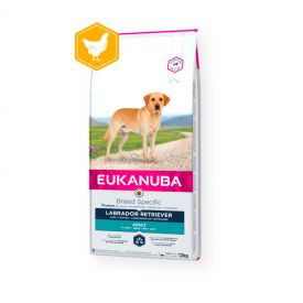 Eukanuba Labrador Retriever Adult