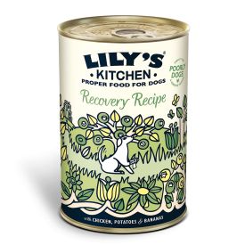 Lily's Kitchen Recovery Recipe