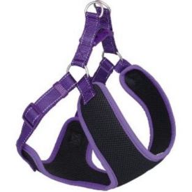 Nobby Black Mesh Reflect Chest Harness Purple