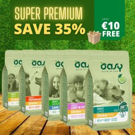 Oasy Is Our Brand Of The Week