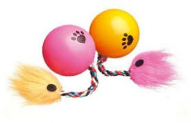 Camon Cat Ball With Rope