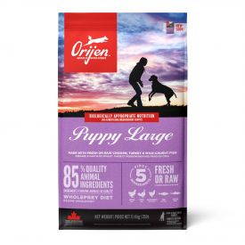 Orijen Puppy Large Breed Dry Food 80% Meat