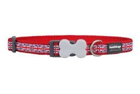 Red Dingo Collar Union