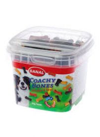 Sanal Coach Bones