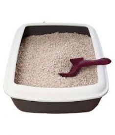 Cat Litter Trays