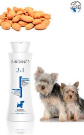 Dogs Shampoo