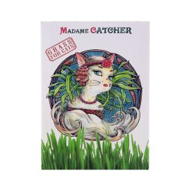 Madame Catcher Grass For Cats