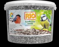 Rio Sunflower Seeds 