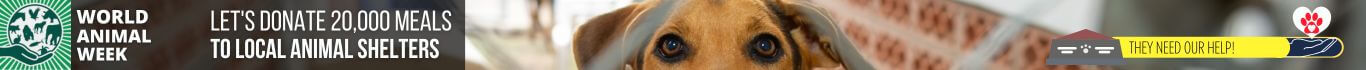 This Year, we need your help to raise 20,000 meals for local animal shelters!