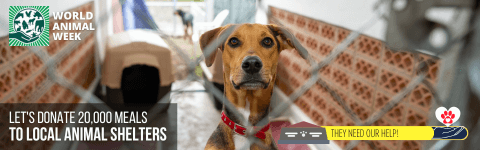 This Year, we need your help to raise 20,000 meals for local animal shelters!