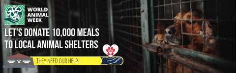 Dog behind a cage and a message to raise money for local shelters in World Animal Week