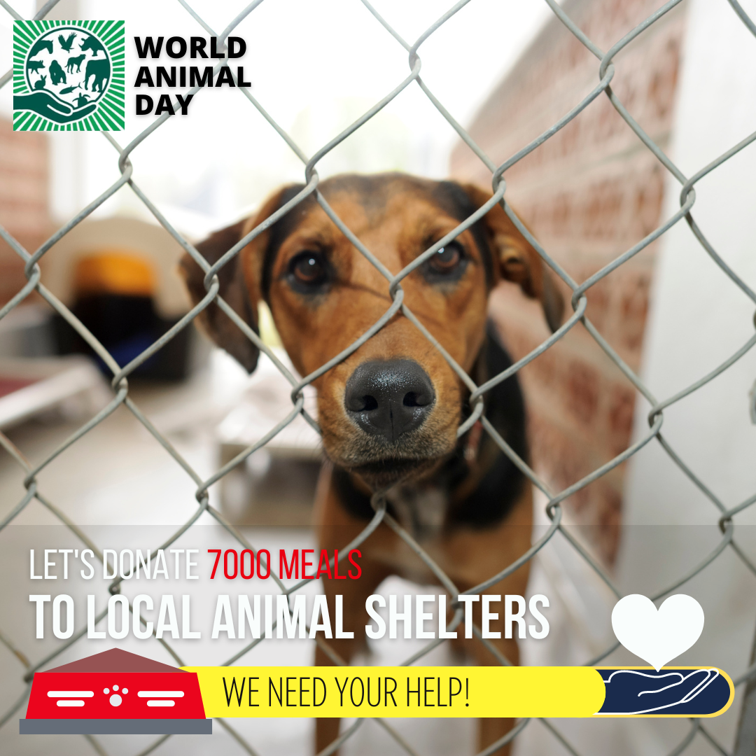 Pet Food Cyprus World Animal Day 2022