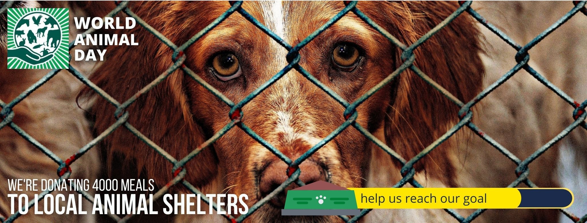 Pet Food Cyprus World Animal Day 2021