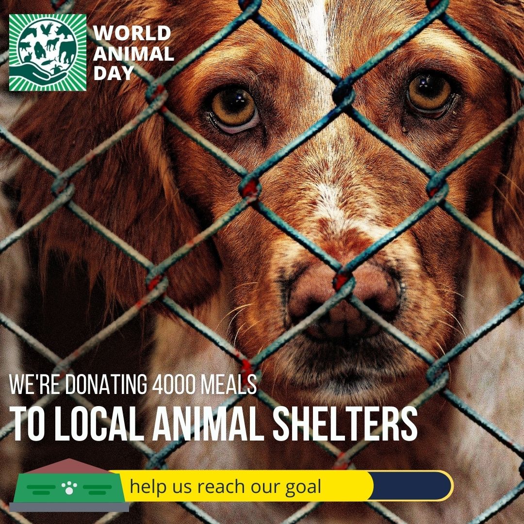 Pet Food Cyprus - World Animal Day 2021