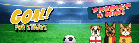 Scratch and Reveal Prizes and Discounts
