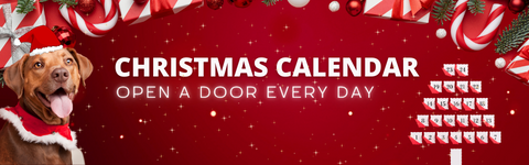 Christmas Calendar with a new door each day