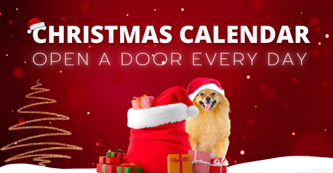 Open a Door Every Day for Surprises!